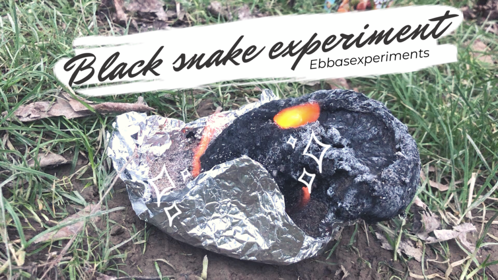 Black snake experiment